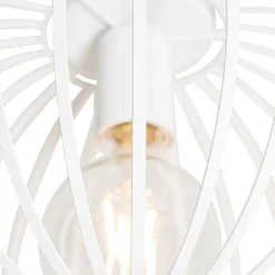 QAZQA Deckenleuchten|Esszimmerlampen*Design-Deckenleuchte weiß 30 cm - Johanna