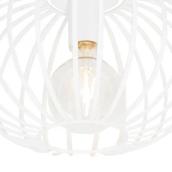 QAZQA Deckenleuchten|Esszimmerlampen*Design-Deckenleuchte weiß 30 cm - Johanna