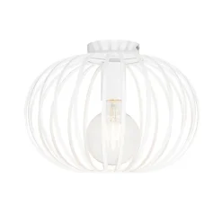 QAZQA Deckenleuchten|Esszimmerlampen*Design-Deckenleuchte weiß 30 cm - Johanna