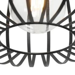 QAZQA Pendelleuchten|Wohnzimmerlampen*Design-Hängeleuchte Schwarz Draht 39cm - Johanna