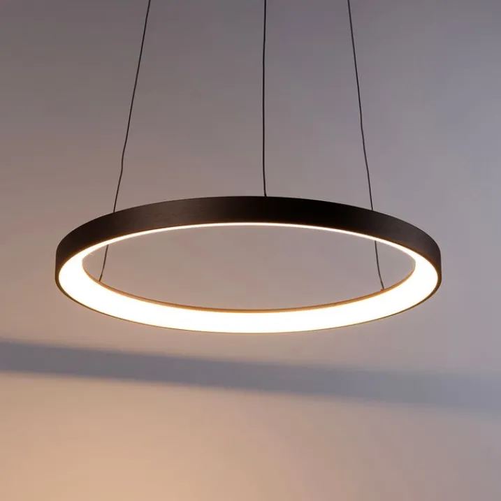 Paul Neuhaus Led-Pendelleuchten|Pendelleuchten*Design-Pendelleuchte Bronze inklusive dimmbarer LED Easylift - Hoop