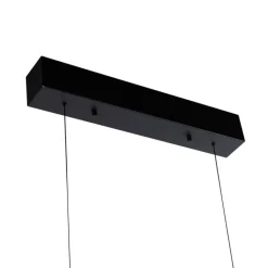 Paul Neuhaus Led-Pendelleuchten|Pendelleuchten*Design-Pendelleuchte Schwarz inkl. dimmbarer LED 3-Stufen Easylift - Nele