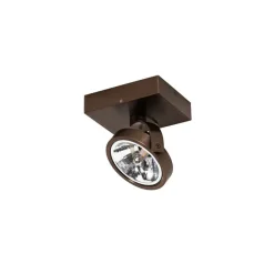 QAZQA Wandstrahler|Deckenstrahler*Design-Spot dunkelbronze dreh- und schwenkbar - Go