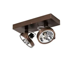 QAZQA Deckenstrahler|Aufbaustrahler*Design-Spot dunkelbronze verstellbar 2-flammig - Go