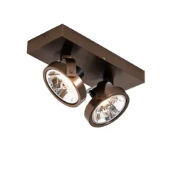 QAZQA Deckenstrahler|Aufbaustrahler*Design-Spot dunkelbronze verstellbar 2-flammig - Go