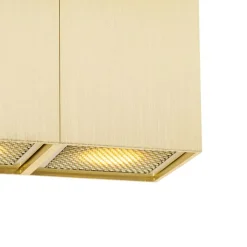 QAZQA Deckenstrahler|Aufbaustrahler*Design-Spot Gold 2-flammig - Qubo Honey