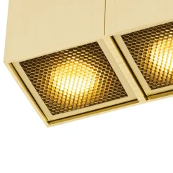 QAZQA Deckenstrahler|Aufbaustrahler*Design-Spot Gold 2-flammig - Qubo Honey