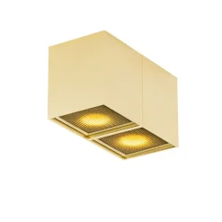 QAZQA Deckenstrahler|Aufbaustrahler*Design-Spot Gold 2-flammig - Qubo Honey