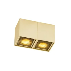 QAZQA Deckenstrahler|Aufbaustrahler*Design-Spot Gold 2-flammig - Qubo Honey