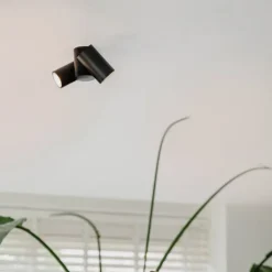 QAZQA Deckenstrahler|Aufbaustrahler*Design-Spot schwarz 2-flammig verstellbar - Michael