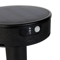 QAZQA Gartenbeleuchtung|Led-Außenleuchten*Design-Stiftspot schwarz inkl. LED und Dimmer IP55 Solar - Fiorina