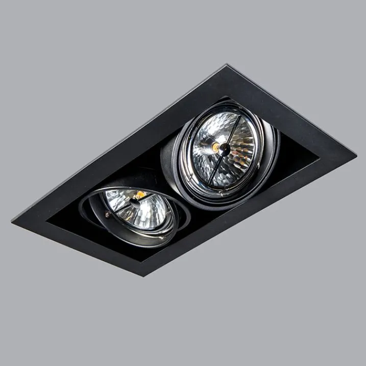 QAZQA Einbaustrahler|Wohnzimmerlampen*Einbaustrahler schwarz AR111 verstellbar 2-flammig - Oneon