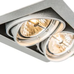 QAZQA Einbaustrahler|Wohnzimmerlampen*Einbaustrahler Stahl AR111 Verstellbar 2-Lichter - Oneon