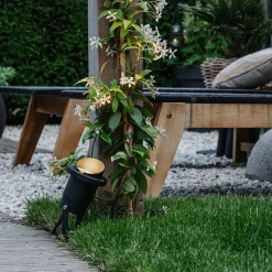 QAZQA Gartenbeleuchtung|Außenstrahler*Gartenstrahler schwarz inkl. Kabel und Stecker IP65 - Done