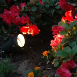 QAZQA Gartenbeleuchtung|Außenstrahler*Gartenstrahler schwarz inkl. Kabel und Stecker IP65 - Done