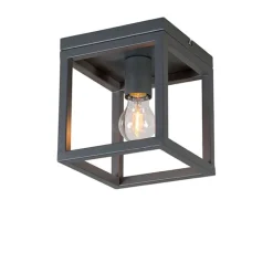 QAZQA Deckenleuchten|Wohnzimmerlampen*Industriedeckenleuchte anthrazit - Cage 1