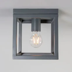 QAZQA Deckenleuchten|Wohnzimmerlampen*Industriedeckenleuchte anthrazit - Cage 1