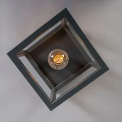 QAZQA Deckenleuchten|Wohnzimmerlampen*Industriedeckenleuchte anthrazit - Cage 1