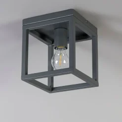 QAZQA Deckenleuchten|Wohnzimmerlampen*Industriedeckenleuchte anthrazit - Cage 1