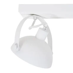 QAZQA Deckenstrahler|Aufbaustrahler*Industrielle Deckenleuchte weiß mit silbernem 2-Licht verstellbar – Magnax