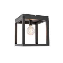 QAZQA Deckenleuchten|Wohnzimmerlampen*Industrielle Deckenleuchte schwarz - Big Cage 2