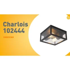 QAZQA Gartenbeleuchtung|Badezimmerlampen*Industrielle Deckenleuchte schwarz IP44 - Charlois