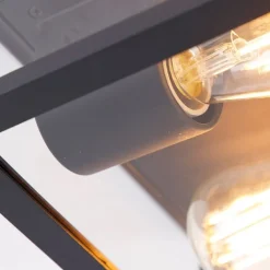 QAZQA Gartenbeleuchtung|Badezimmerlampen*Industrielle Deckenleuchte schwarz IP44 - Charlois