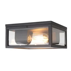 QAZQA Gartenbeleuchtung|Badezimmerlampen*Industrielle Deckenleuchte schwarz IP44 - Charlois