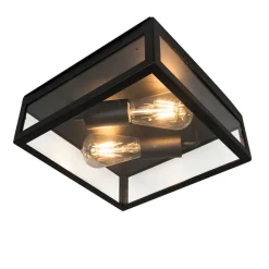 QAZQA Gartenbeleuchtung|Deckenleuchten Außen*Industrielle Outdoor-Deckenleuchte schwarz 2-flammig - Rotterdam