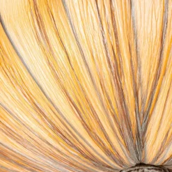 Kinder QAZQA Kinderzimmerlampen|Deckenleuchten*Japandi Deckenleuchte Beige 60cm 5-flammig - Plu