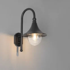 QAZQA Gartenbeleuchtung|Außenwandleuchten*Klassische Außenwandleuchte schwarz IP44 - Daphne