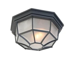 QAZQA Deckenleuchten Außen|Gartenbeleuchtung*Landhaus Deckenleuchte dunkelgrau IP44 - Bri L.