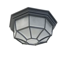 QAZQA Deckenleuchten Außen|Gartenbeleuchtung*Landhaus Deckenleuchte dunkelgrau IP44 - Bri L.