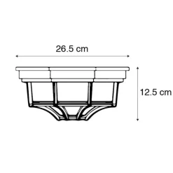 QAZQA Deckenleuchten Außen|Gartenbeleuchtung*Landhaus Deckenleuchte dunkelgrau IP44 - Bri L.