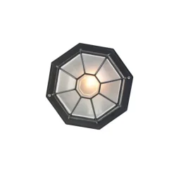 QAZQA Deckenleuchten Außen|Gartenbeleuchtung*Landhaus Deckenleuchte dunkelgrau IP44 - Bri L.