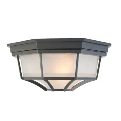 QAZQA Deckenleuchten Außen|Gartenbeleuchtung*Landhaus Deckenleuchte dunkelgrau IP44 - Bri L.