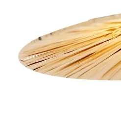 QAZQA Pendelleuchten|Wohnzimmerlampen*Ländliche Hängelampe schwarz mit Seil 45 cm - Leia