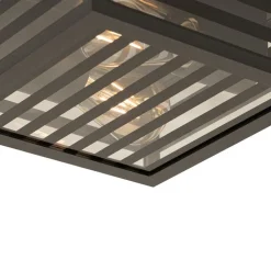 QAZQA Gartenbeleuchtung|Deckenleuchten Außen*Moderne Außendeckenleuchte aus schwarzem Glas, 2-flammig, IP44 – Reims