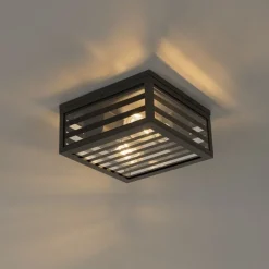 QAZQA Gartenbeleuchtung|Deckenleuchten Außen*Moderne Außendeckenleuchte aus schwarzem Glas, 2-flammig, IP44 – Reims