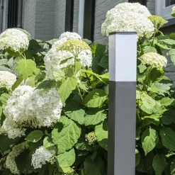 QAZQA Gartenbeleuchtung|Stehlampen Außen*Moderne Außen-Pollerleuchte Dunkelgrau mit Opal 80 cm IP44 - Malios