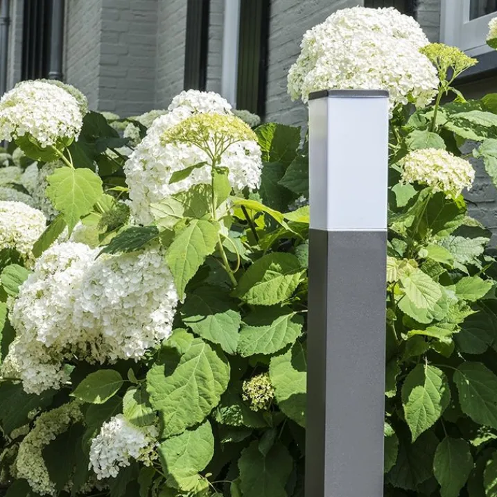 QAZQA Gartenbeleuchtung|Stehlampen Außen*Moderne Außen-Pollerleuchte Dunkelgrau mit Opal 80 cm IP44 - Malios