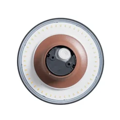 QAZQA Gartenbeleuchtung|Led-Außenleuchten*Moderne Außenwandleuchte rostbraun inkl. LED IP54 - Skyf