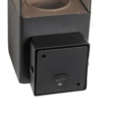 QAZQA Gartenbeleuchtung|Außenwandleuchten*Moderne Außenwandleuchte schwarz IP44 mit Rauchglaseffekt - Dänemark