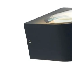 Paul Neuhaus Gartenbeleuchtung|Led-Außenleuchten*Moderne Außenwandleuchte schwarz inkl. LED 2-flammig IP54 - Carla