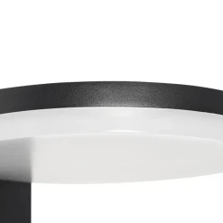 QAZQA Gartenbeleuchtung|Led-Außenleuchten*Moderne Außenwandleuchte schwarz inkl. LED IP54 - Esmee