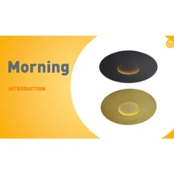 QAZQA Led-Deckenleuchten|Deckenleuchten*Moderne Deckenleuchte Gold 60cm inkl. LED 3-Stufen Dimmbar - Morning