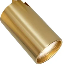 QAZQA Deckenleuchten|Wohnzimmerlampen*Moderne Deckenleuchte Messing 2-flammig neigbar - Lesly