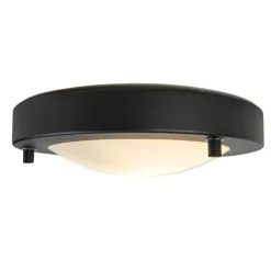 QAZQA Gartenbeleuchtung|Badezimmerlampen*Moderne Deckenleuchte schwarz IP44 - Yuma 18