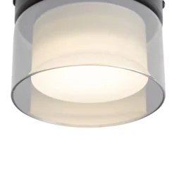 QAZQA Gartenbeleuchtung|Badezimmerlampen*Moderne Deckenleuchte schwarz mit Rauchglas - Puck