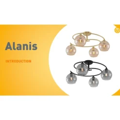 QAZQA Schlafzimmerlampen|Küchenlampen*Moderne Deckenleuchte Schwarz mit Rauchglas 4-flammig - Alanis